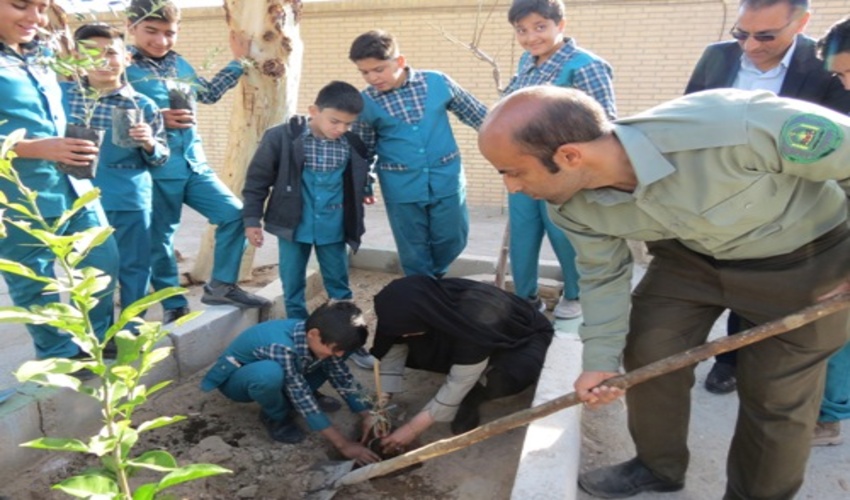 غرس 20 اصله نهال زیتون و نارنج در محوطه دبستان پسرانه غیر انتفاعی حضرت سجاد (ع) شهرستان بافق