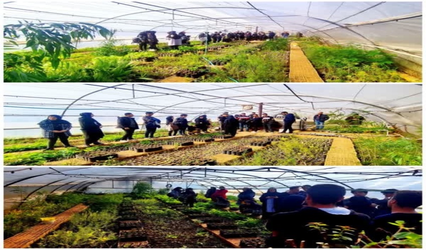 بازدید دانشجویان دانشگاه اردکان (دانشکده منابع طبیعی) از نهالستان و گلخانه اداره منابع طبیعی و آبخیزداری شهرستان اردکان