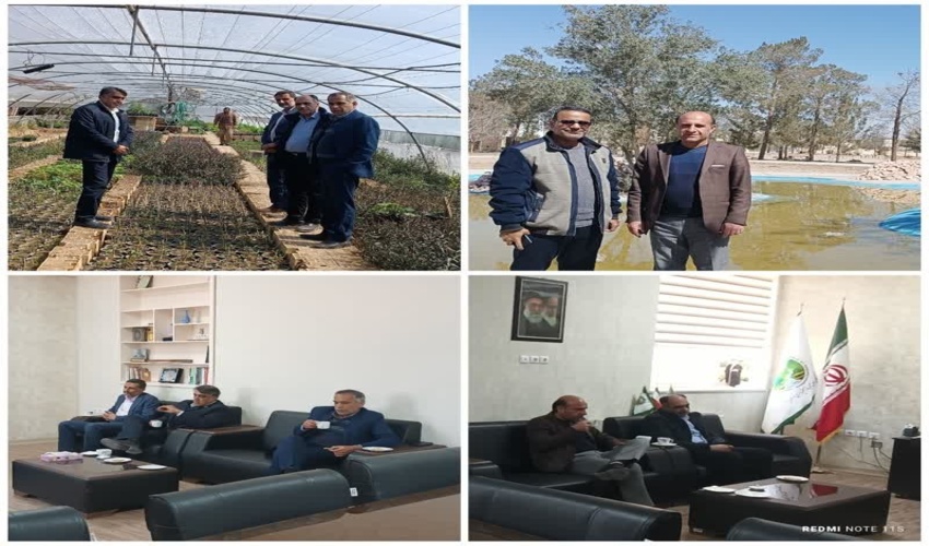 درختکاری به مناسبت سومین روز از هفته منابع طبیعی در سرای سالمندان مجد شهرستان اردکان 