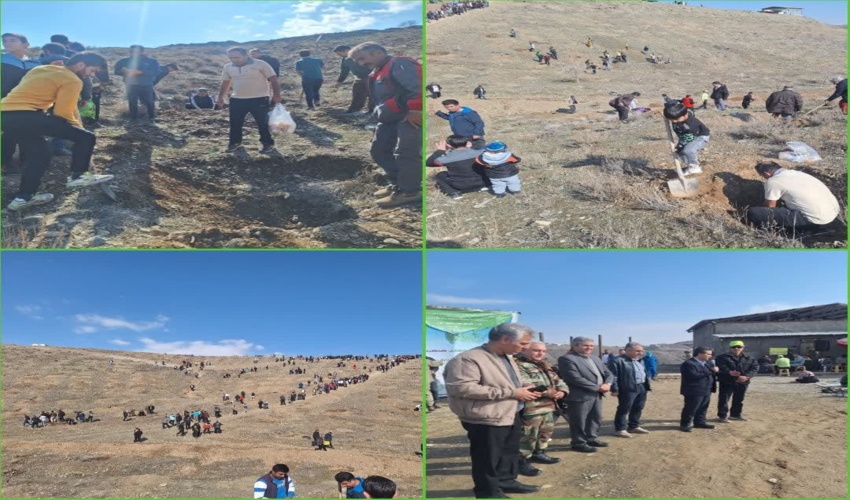 مراسم درختکاری به مناسبت پنجمین روز از هفته منابع طبیعی در محل دانشکده علمی و کاربردی شهرستان اردکان