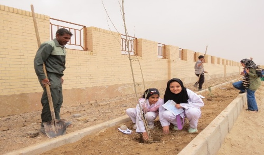 غرس 50 اصله نهال زیتون و سوبابل در محوطه مجموعه ورزشي كارگران شهرستان بافق