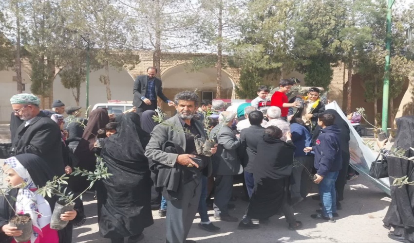 توزیع نهال رایگان در شهرستان مهریز