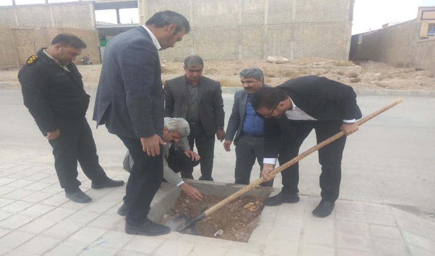 غرس نهال در کتابخانه عمومی بخش چاهک از شهرستان خاتم