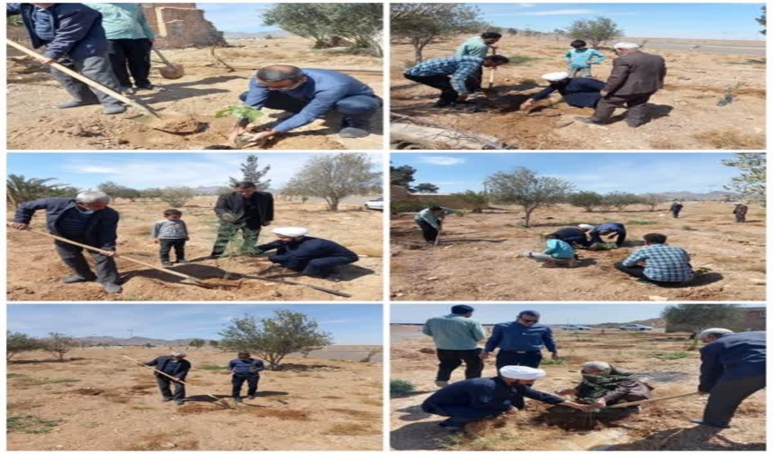 اجرای ترویج سنت حسنه کاشت و وقف نهال در روز طبیعت در شهرستان اردکان