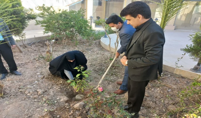 کاشت و وقف 160 اصله نهال نارنج در 160 مدرسه شهرستان میبد