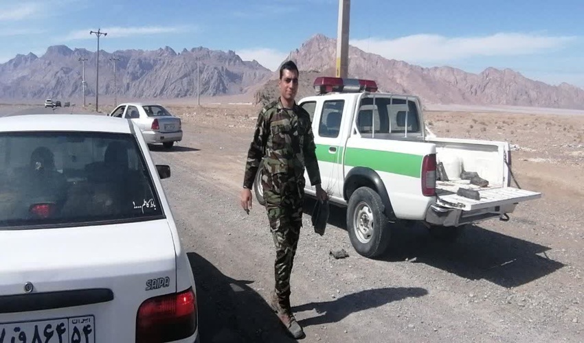 توزیع 500 اصله نهال بنه و بادام کوهی در شهرستان مهریز