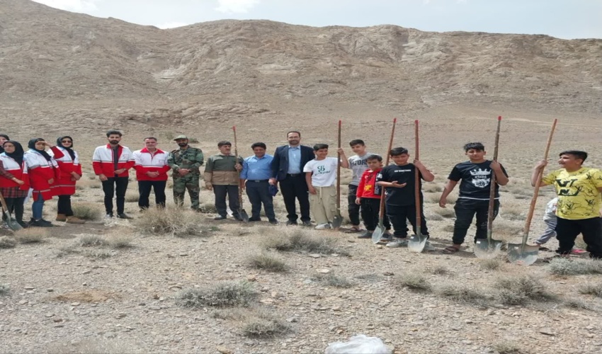 ترویج سنت حسنه کاشت و وقف نهال