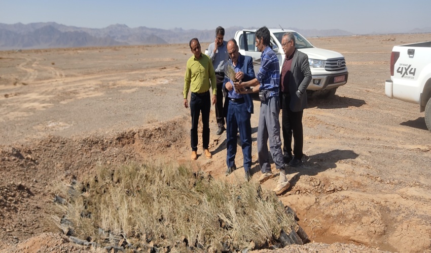 بازدیداکیپ کارشناسان طرح مردمی کاشت یک‌میلیارددرخت  از پروژه ۲۵۰۰هکتاری حوزه غرب ابرکوه