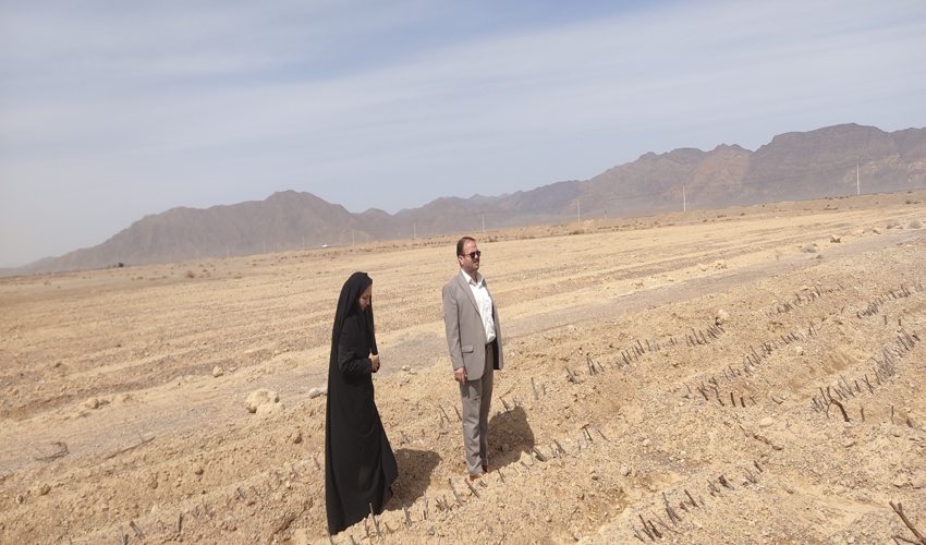 بازدید کارشناس ستادی طرح وبرنامه اداره کل منابع طبیعی وآبخیزداری استان ازپروژه های اجرایی شهرستان ابرکوه 