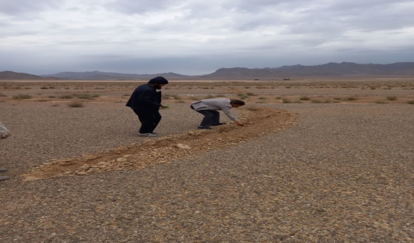 عملیات بذرکاری در پروژه بیولوژیک و بیومکانیک حوزه آبخیز سورک و نیوک ندوشن 