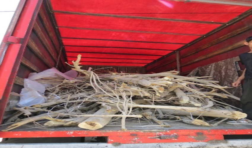 کشف 3 تن چوب قاچاق به ارزش 3 ميليارد ريال در بافق 