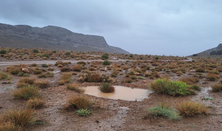 اثربخشی پروژه های بیولوژیک ذخیره نزولات شهرستان مهریز 