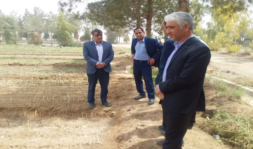 بازدید معاونت محترم فنی و هیئت همراه از نهالستان اداره منابع طبیعی و آبخیزداری شهرستان اشکذر 