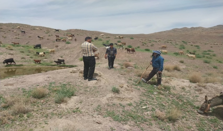 گشت و مراقبت از عرصه های ملی و منابع طبیعی شهرستان بهاباد