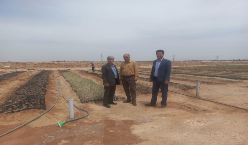 حضور آقای مهندس عالم نماینده سمن ها در محل تولید نهال کانال باد شهرستان میبد