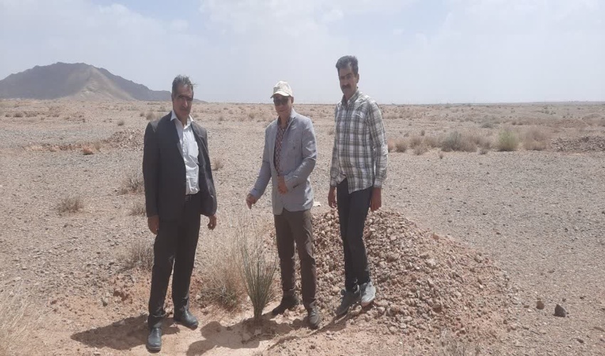 بازدید رئیس اداره جنگل اداره کل منابع طبیعی و آبخیزداری استان یزد از پروژه های اجرایی طرح مردمی کاشت یک میلیارد درخت در شهرستان خاتم