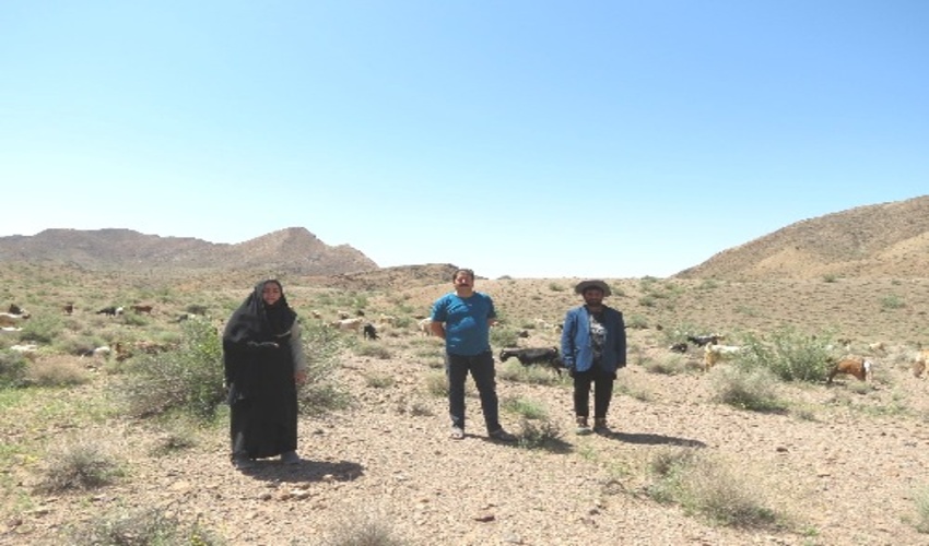 مدیریت چرای دام و کنترل پروانه چرا در مراتع تابستانه ناريگان و نيزار شهرستان بافق