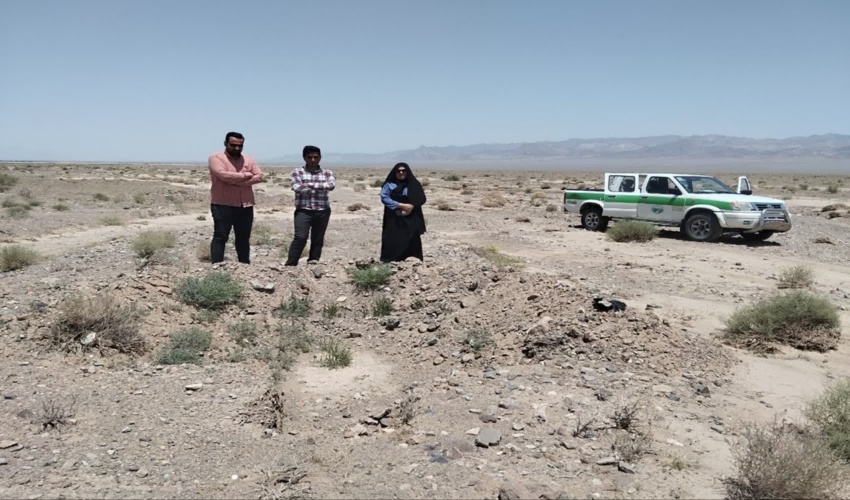 بازدید کارشناسان اداره جنگل از طرح مردمی کاشت یک میلیارد درخت شهرستان بهاباد 