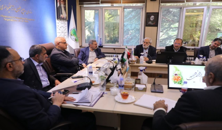 جلسه بررسی وضعیت صندوق حمایت از توسعه منابع طبیعی
