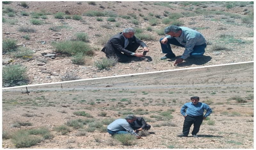 بازدید از مراتع بخش خرانق و بررسی گیاهان دارویی و مرتعی شهرستان اردکان 