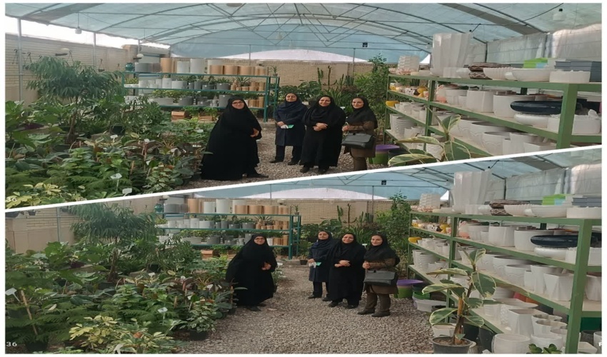بازدید آموزشی و ترویجی از گلخانه ای در شهرستان اردکان 