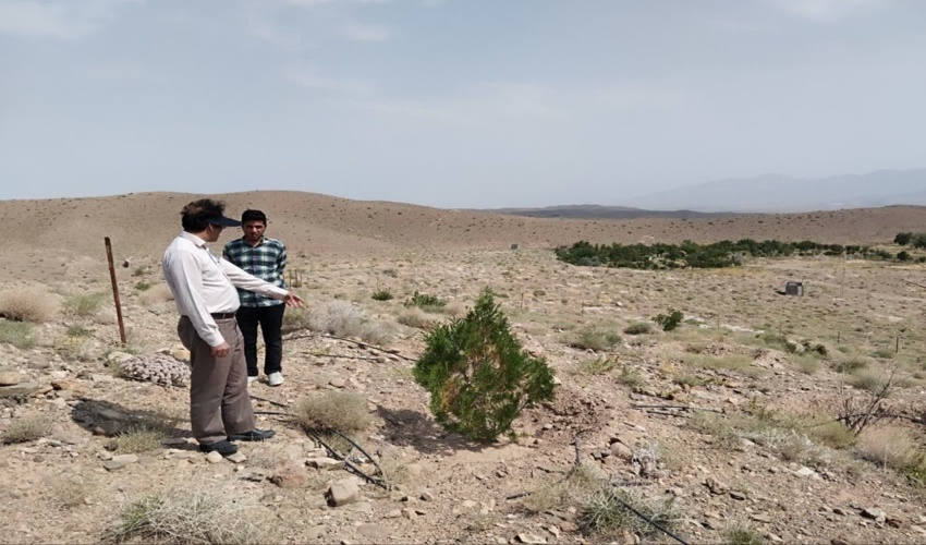 بازدید رئیس و کارشناسان اداره منابع طبیعی و آبخیزداری شهرستان بهاباد از پارک آبخیزداری وحدت آباد آسفیج