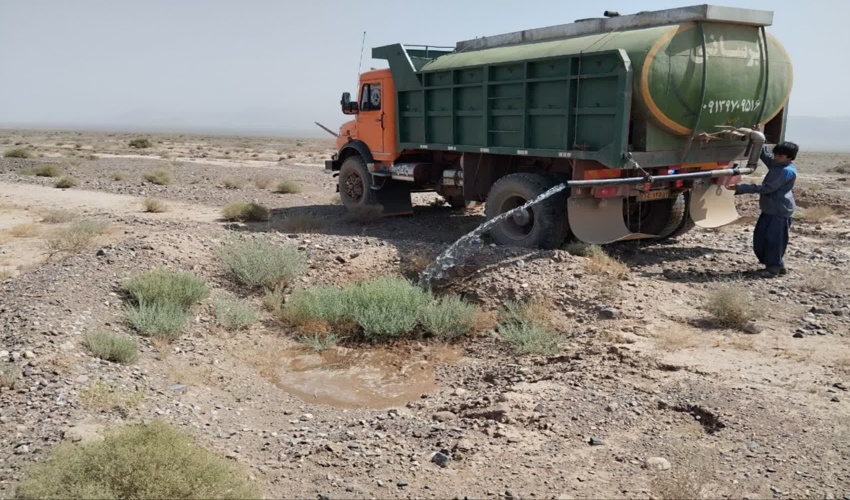 شروع آبیاری سایت ۲۲۰ هکتاری طرح مردمی کاشت یک میلیارد درخت شهرستان بهاباد