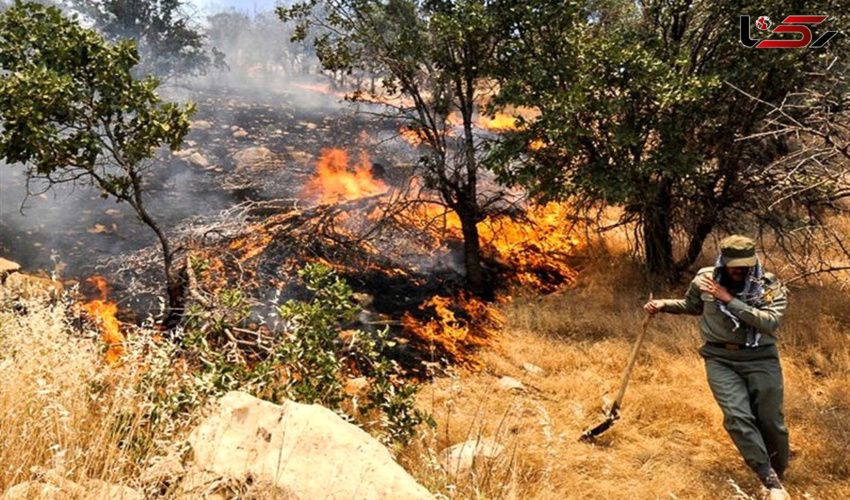 تاکید بر تشکیل ستاد مدیریت بحران برای پیشگیری از حریق اراضی ملی