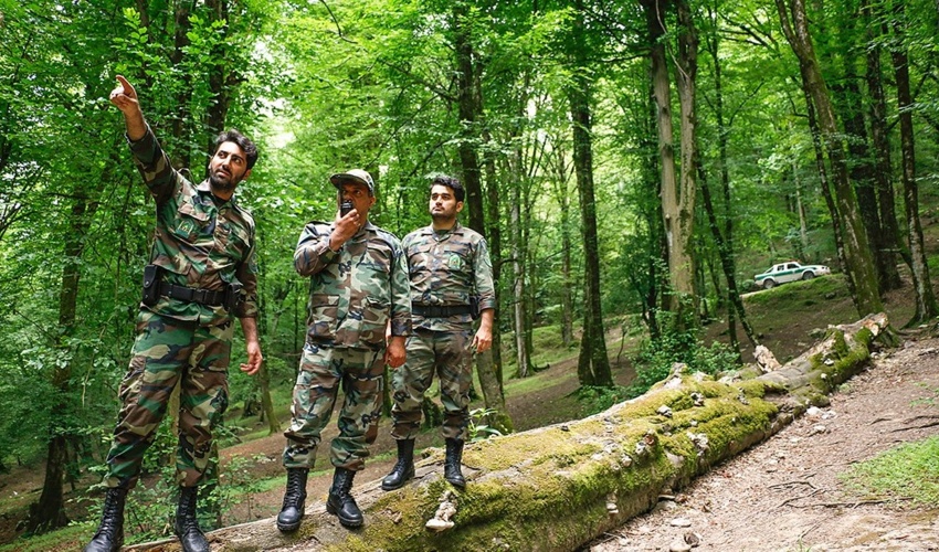جنگلبانان، خط مقدم حفاظت از منابع طبیعی کشور هستند