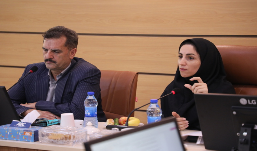 تشکیل سومین جلسه کارگروه اصلاح فرایندهای وزارت جهادکشاورزی در سازمان منابع طبیعی