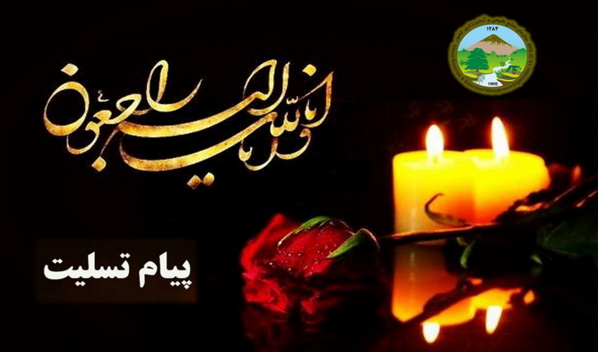 پیام تسلیت سرپرست سازمان منابع طبیعی در پی درگذشت دکتر رفعت‌نیا