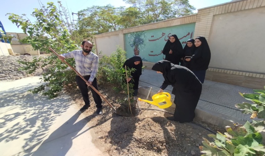 کاشت درخت همزمان با بازگشایی مدارس شهرستان مهریز