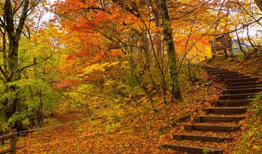 مهر دیدی که به برهم زدن چشم رسید؟!