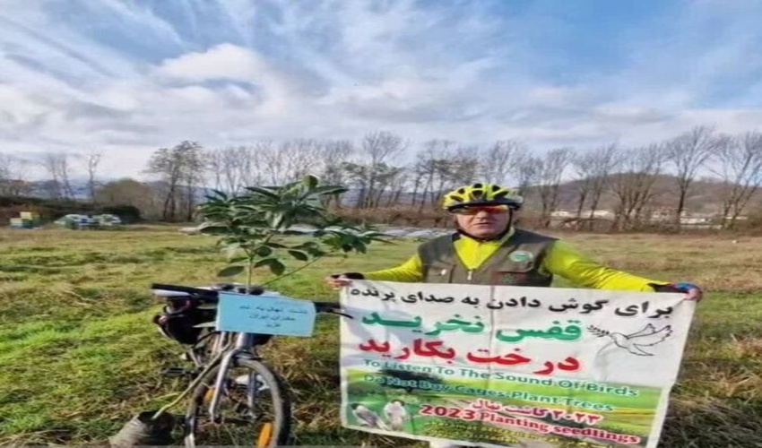 برای شنیدن صدای پرندگان قفس نخرید، درخت بکارید!