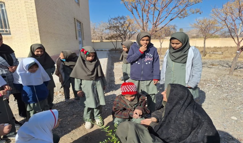 برگزاری پویش نهال کاری "در سایه مادر "در دبستان جلیل بیک شهرستان تفت به مناسبت گرامیداشت هفته مادر ،در روز چهارشنبه مورخ 1403/10/05