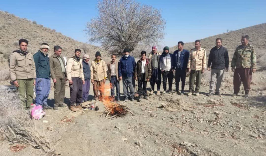 برگزاری پویش بذرکاری در سطح ۵۰ هکتار به مناسبت ایام الله دهه فجر