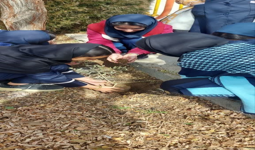 برگزاری پویش نهال کاری در مدرسه شبانه روزی زینب کبری شهرستان تفت به مناسبت گرامیداشت  میلاد امام زمان (عج) و ایام نیمه شعبان