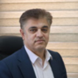 محسن احمدبیگی