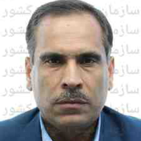 حسن دشتی