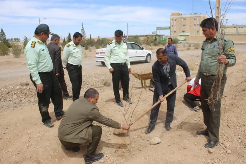 پویش نهال کاری در راستای ترویج سنت حسنه کاشت و وقف نهال در شهرستان خاتم 