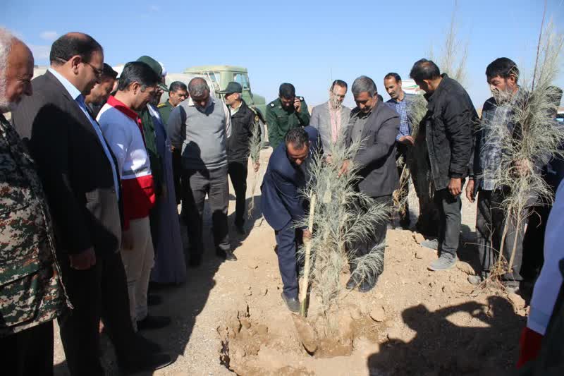 اجرای پویش نهالکاری در شهرستان خاتم در راستای طرح مردمی کاشت یک میلیارد درخت