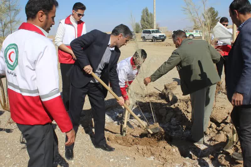اجرای پویش نهالکاری در شهرستان خاتم در راستای طرح مردمی کاشت یک میلیارد درخت