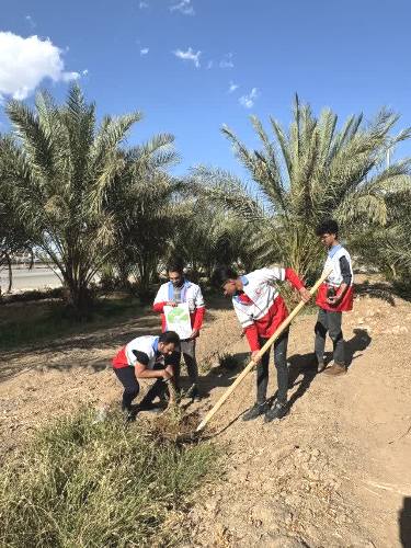 کاشت ۷۷ نهال توسط جوانان جمعیت هلال احمر شهرستان بافق به مناسبت سالروز تأسیس سازمان جوانان