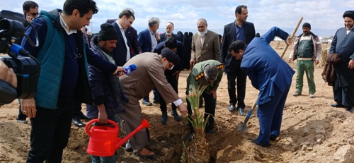 برگزاری آیین روز درختکاری و پویش سراسری درختکاری《جانِ ایران》 ؛ غرس درخت خرما و امضای عهدنامه با طبیعت در محل نخلستان نمونه گردشگری شهرداری بافق